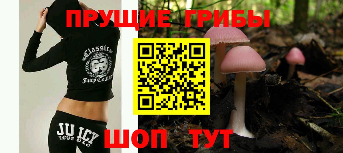 Псилоцибиновые грибы Cubensis Нальчик