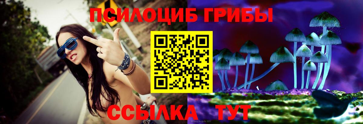 Нальчик  Псилоцибиновые грибы Psilocybe  Галлюциногенные грибы ЛСД  Вход с VPN 